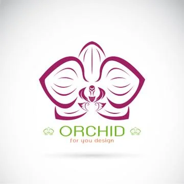 Vector of an Orchid logo on a white background. Flower. Ilustración de archivo