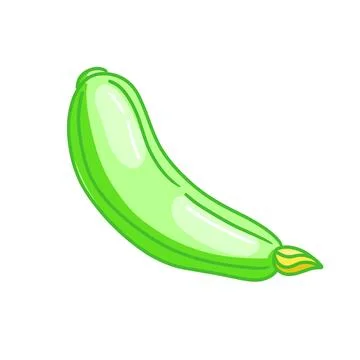 Vector organic green squash Stock Illustration