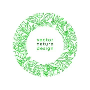 Vector organic label. Green tea, leaves, flower in circle. Vegan food, bio dr Stock-Illustration