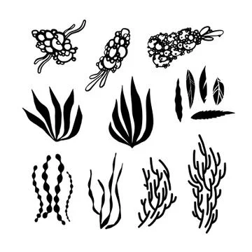 Vector organic seamless abstract background, botanical motif Stock Illustration