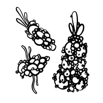 Vector organic seamless abstract background, botanical motif Stock Illustration