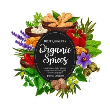 Vector organic of spices and herbal seasonings Stock Illustration
