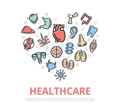 Vector organs and anatomy thin line icons in heart shape design concept Stock Illustration