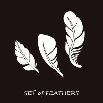 Vector Ornate Set of Stylized and Silhouette Abstract Feathers. Illustrazione stock