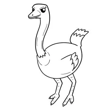 Vector of ostrich Stock Illustration