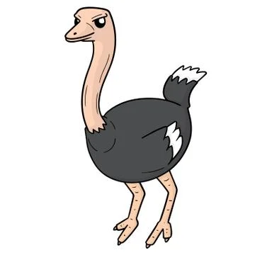 Vector of ostrich Stock Illustration
