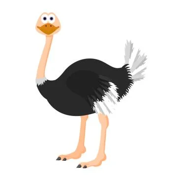 Vector ostrich for your ideas 스톡 일러스트