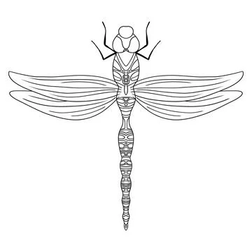 Vector outline dragonfly illustration isolated on white background. Lineart. Stock Illustration