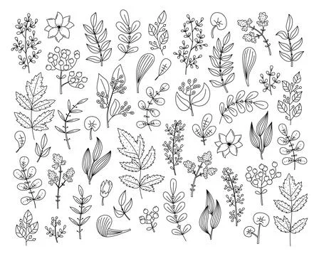 Vector outline floral set with plants and flowers Illustrazione stock