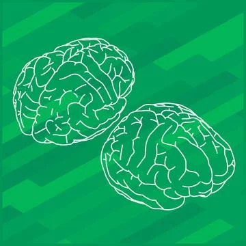 Vector outline illustration human brain. Vector outline illustration of hu... Stock Photos