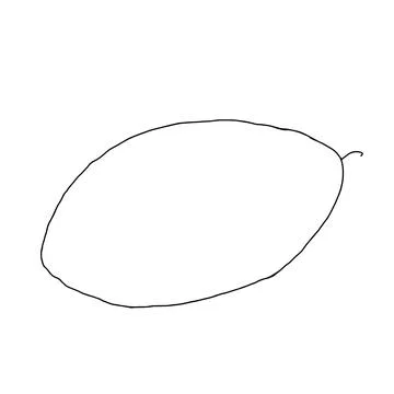 Vector outline illustration of one fresh melon isolated on a white background Stock Illustration
