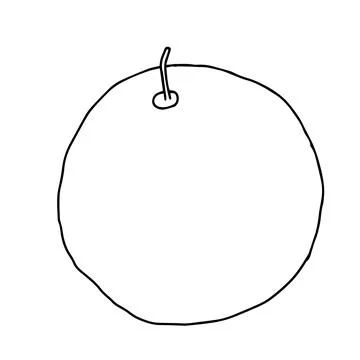 Vector outline illustration of one fresh melon isolated on a white background Stock Illustration