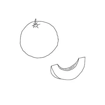 Vector outline illustration of one slice fresh melon with seeds isolated on a Stock Illustration