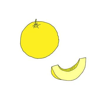Vector outline illustration of one slice fresh yellow melon with seeds isolat Stock Illustration
