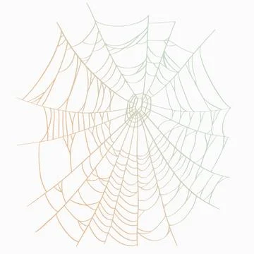 Vector outline illustration of a simple fancy Halloween spider web, isolate.. Stock Illustration