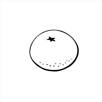 Vector outline Orange, mandarin or tangerine isolated on white. Black contour Stock Illustration