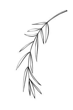 Vector outline spice rosemary sprig in doodle style. Clip art for kitchen, de Stock Illustration