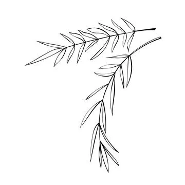 Vector outline spice rosemary sprigs in doodle style. Clip art for kitchen, d Stock Illustration