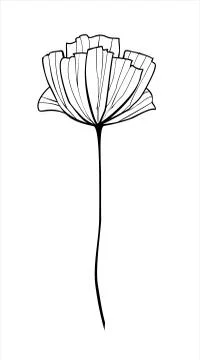 Vector outlined hand drawn flower. Stock Illustration