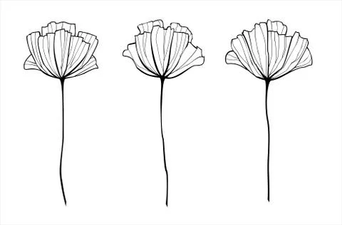 Vector outlined hand drawn flowers. Stock Illustration