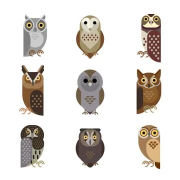Vector owl characters set showing different species. Stock Illustration