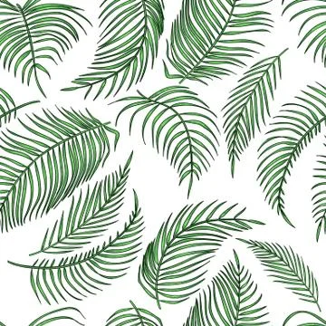 Vector palm leaves seamless pattern, jungle leaf on white background. Illustrazione stock