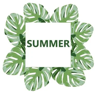 Vector Palm Leaves Summer Time Stock-Illustration
