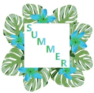 Vector Palm Leaves Summer Time Stock Illustration