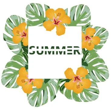 Vector Palm Leaves Summer Time イラスト素材