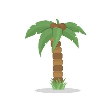 Vector palm tree in flat style isolated Stock Illustration