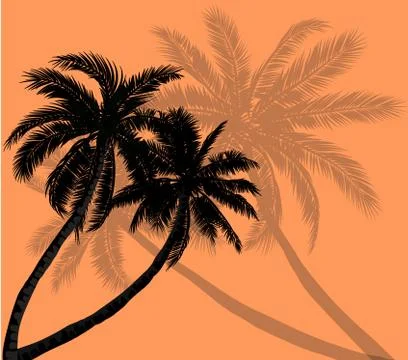 Vector palm trees with silhouettes of leaves Stock Illustration