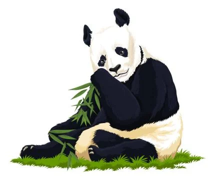 Vector of panda. Stock Illustration