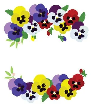 Vector pansies background Illustrazione stock