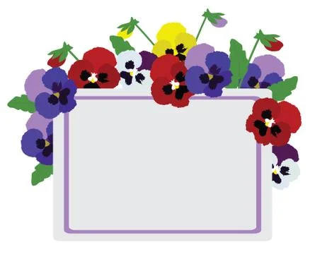 Vector Pansies Flowers Stock Illustration