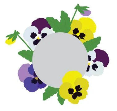 Vector Pansies Flowers Stock Illustration
