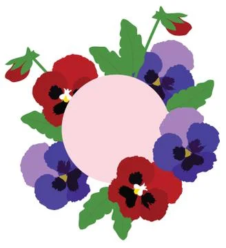 Vector Pansies Flowers Stock Illustration
