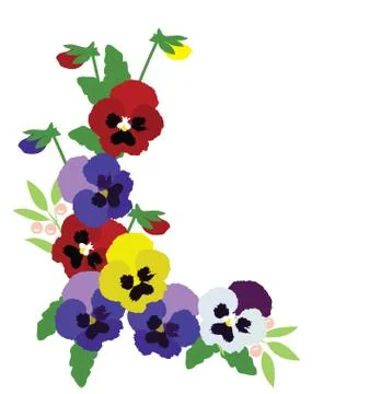 Vector Pansies Flowers Stock Illustration