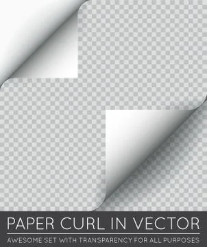 Vector Paper Page Curl with Shadow Isolated. Stock Illustration