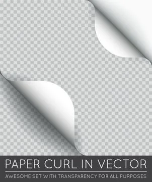 Vector Paper Page Curl with Shadow Isolated. Stock Illustration