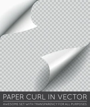 Vector Paper Page Curl with Shadow Isolated. Stock Illustration