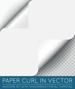 Vector Paper Page Curl with Shadow Isolated. Stock Illustration