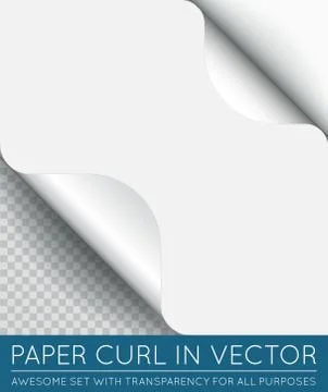 Vector Paper Page Curl with Shadow Isolated. Stock Illustration