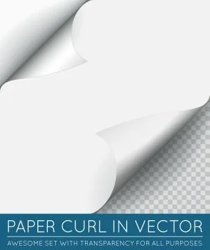 Vector Paper Page Curl with Shadow Isolated. 스톡 일러스트