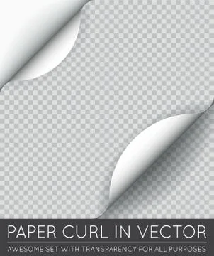 Vector Paper Page Curl with Shadow Isolated. Stock Illustration