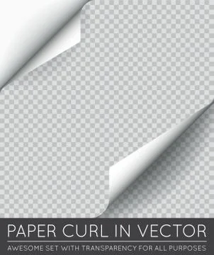 Vector Paper Page Curl with Shadow Isolated. Stock Illustration