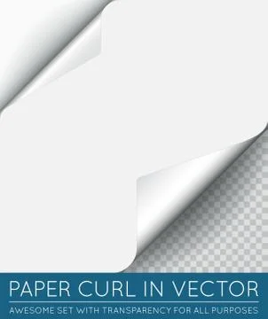 Vector Paper Page Curl with Shadow Isolated. Stock Illustration