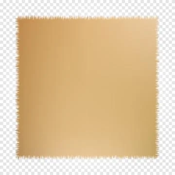 Vector paper. Parchment paper. Manuscript fragment . Sheet ancient book. Ancient Illustrazione stock
