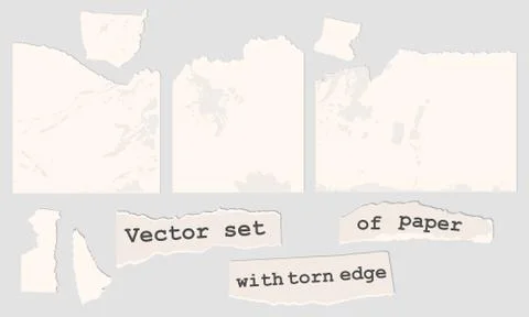 Vector paper with torn edge. Pieces of notes. Illustrazione stock