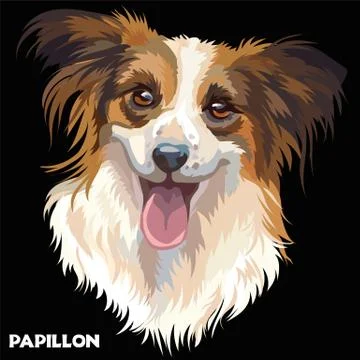 Vector Papillon in color Stock Illustration