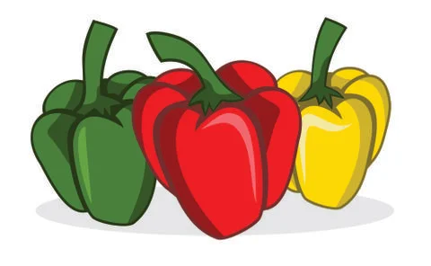 Vector paprika design Stock Illustration